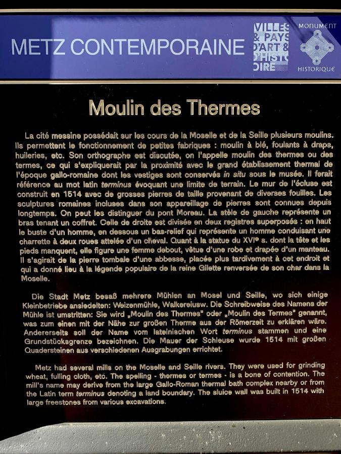 L'appart Moulin Des Thermes Appartamento Metz